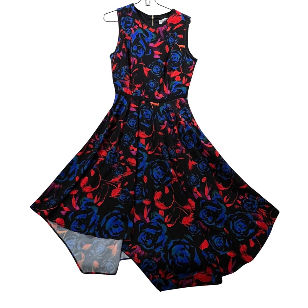 Hunter Bell New York Floral Print Black Blue Red Sleeveless Hi Low Dress Size 8